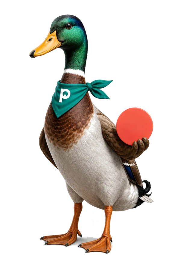 Duuk, de mannelijke mallard van De Prijsduiker, staat alert klaar om prijsdalingen te zoeken.